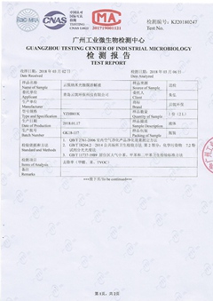 云筑環(huán)保檢測(cè)報(bào)告A